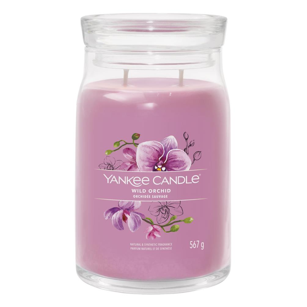 Candle Signature (1629979E)