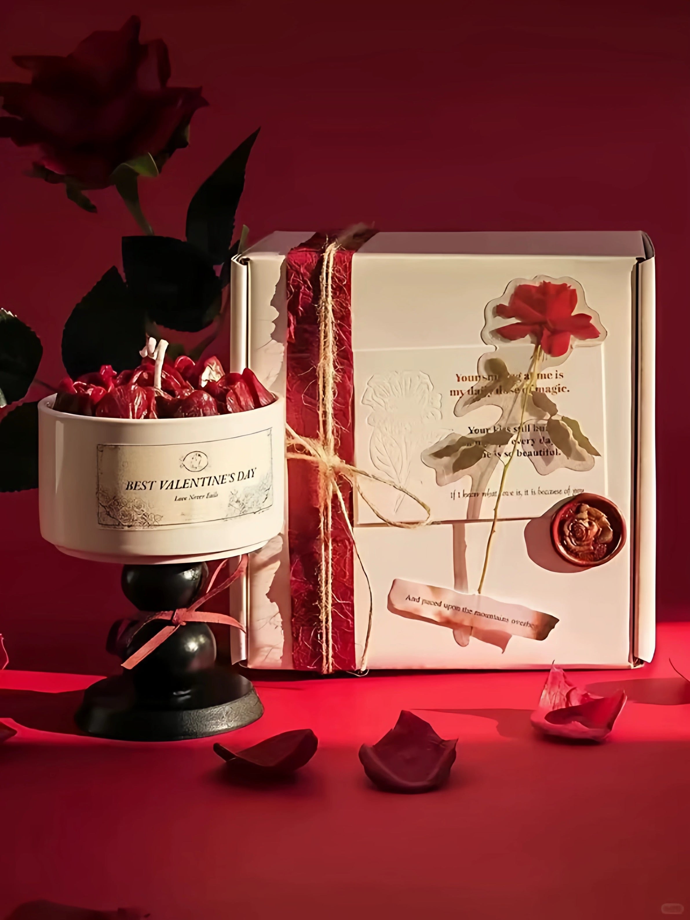 Camellia Flower Aromatherapy Candle Gift Box 🌸 | Luxury Floral Scented Candle Gift Set 🕯️🎁